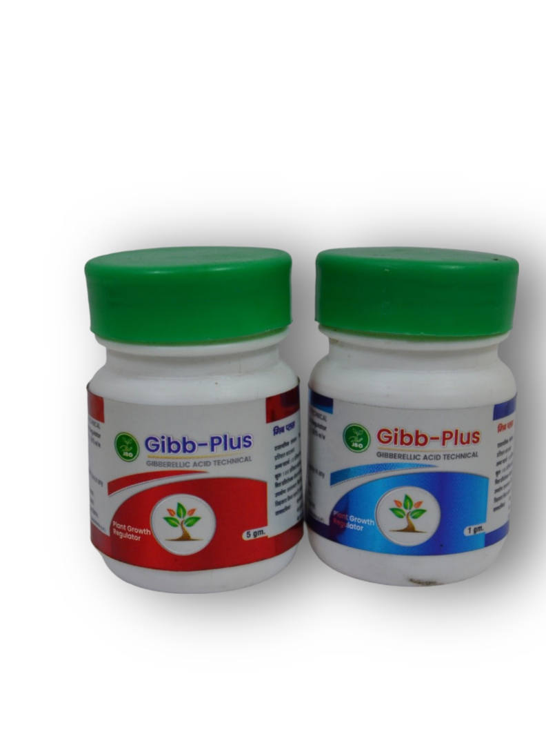 Gibb-Plus